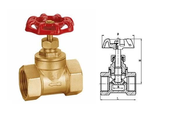brass globe valve