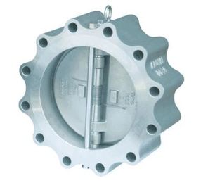 China Horizontal Vertical Cast Check Valve , Lug Double Check Valve OEM Service supplier