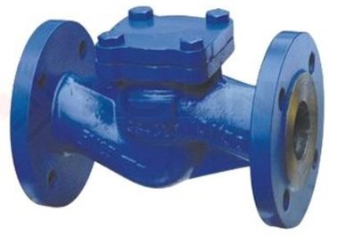 China Din Cast Steel Check Valve Swing Disc Lift Disc Good Sealing Performance supplier