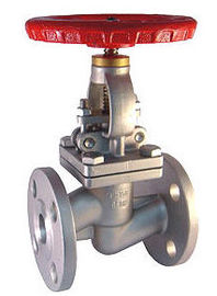 China Precision Investment Cast Globe Valve Stainless Steel Globe Valve API Standard supplier