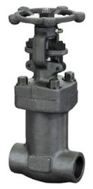 Reliable Low Temperature Valves / Forged Steel Globe Valve ODM Service