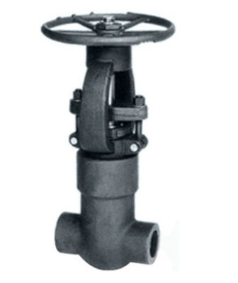 API 602 Forged Steel Valves / Pressure Seal Gate Valve NPT SW Ends